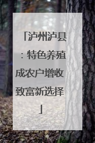 泸州泸县：特色养殖成农户增收致富新选择